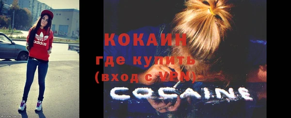 гашик Россошь