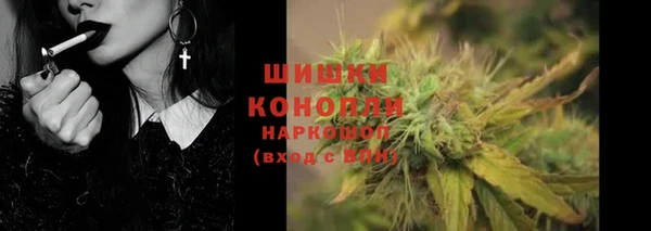 гашик Россошь