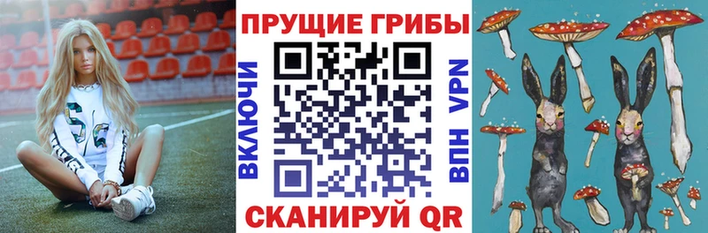 наркошоп Беломорск Галлюциногенные грибы мухоморы